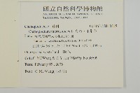 臭杏、土荊芥藏品圖，第2張