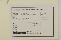 沼生金鈕扣藏品圖，第2張