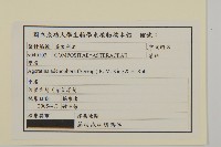 假藿香薊藏品圖，第2張