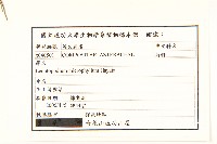 玉山薄雪草藏品圖，第2張