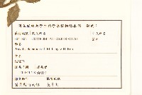 貓腥草藏品圖，第2張