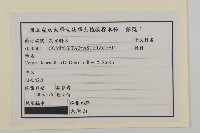 粘毛假蓬藏品圖，第2張