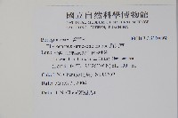 盾果草藏品圖，第2張