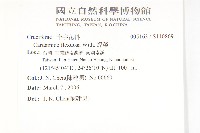 焊菜藏品圖，第2張