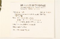 田代氏澤蘭藏品圖，第2張