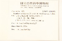 刀傷草藏品圖，第2張