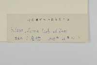 堅硬女婁菜藏品圖，第3張