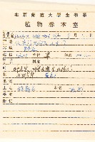 旋覆花藏品圖，第2張