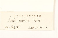 旋覆花藏品圖，第3張