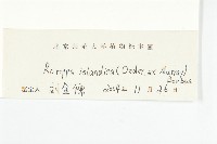 鳳花菜藏品圖，第3張