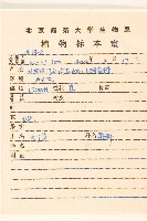 大丁草藏品圖，第2張