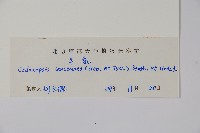 羊乳、四葉參藏品圖，第2張