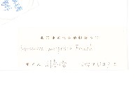 華北鳳毛菊藏品圖，第3張