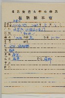 紫菀藏品圖，第2張