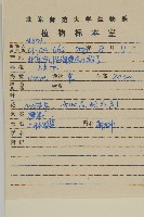 山白蘭藏品圖，第2張