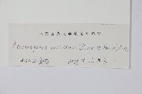 刺五加藏品圖，第2張