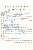 紫苞鳳毛菊藏品圖，第2張