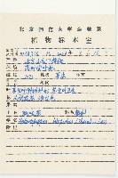 狗娃花藏品圖，第2張