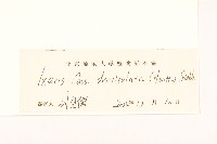 苦實菜藏品圖，第3張