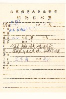 盤果菊藏品圖，第2張