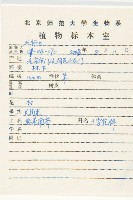 硬毛南芥藏品圖，第2張