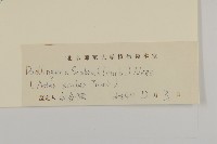 登錄號:S111028藏品圖，第3張