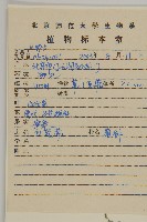 白蓮蒿藏品圖，第2張