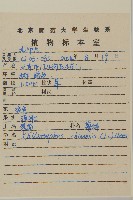 翠菊藏品圖，第2張