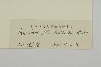 零零香藏品圖，第3張