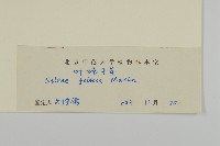 石縫蠅子草藏品圖，第3張