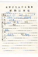 阿爾泰狗哇花藏品圖，第2張