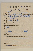 翠菊藏品圖，第2張