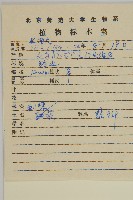 刺藜藏品圖，第2張