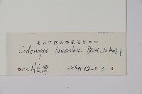 羊乳、四葉參藏品圖，第2張