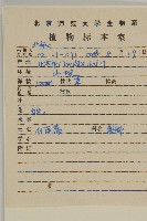 白蓮蒿藏品圖，第2張