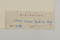 華薊藏品圖，第3張