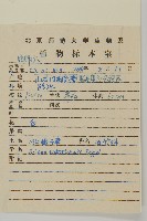 石生蠅子草、山女婁菜藏品圖，第2張