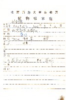 蓖苞風毛菊藏品圖，第2張