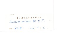 蓖苞風毛菊藏品圖，第3張