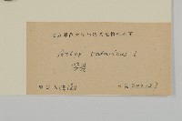 紫菀藏品圖，第3張