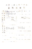 蓖苞風毛菊藏品圖，第2張