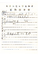 紫苞鳳毛菊藏品圖，第2張