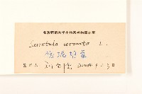 偽泥胡菜藏品圖，第3張