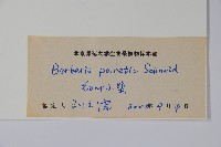 登錄號:S111241藏品圖，第2張