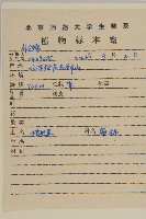 狼把草藏品圖，第2張