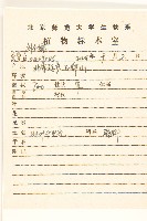 羽葉千里光藏品圖，第2張