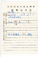 歐亞旋覆花藏品圖，第2張