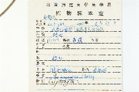 日本打碗花藏品圖，第2張