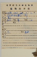 艾蒿藏品圖，第2張