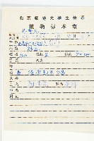 狗娃花藏品圖，第2張